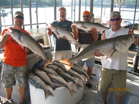 Nice Striped Bass